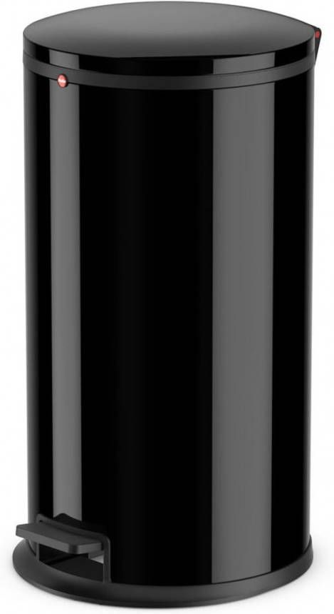 Hailo Vuilnisemmer Pure L 25 liter, plaatstaal of rvs, verzinkte binnenemmer, made in germany